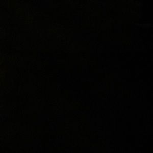 Meet your Posher, Oscar